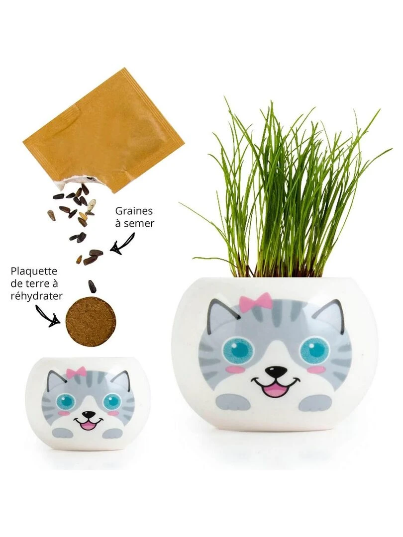 Kit de jardinage : céramique chat gris   N/A