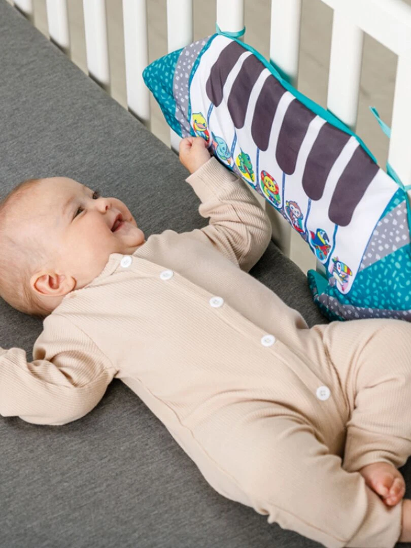 Piano & coussin raton laveur   N/A