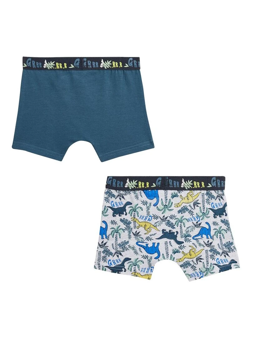 Lot de 2 boxers garçon Brontonsaure Multicolore