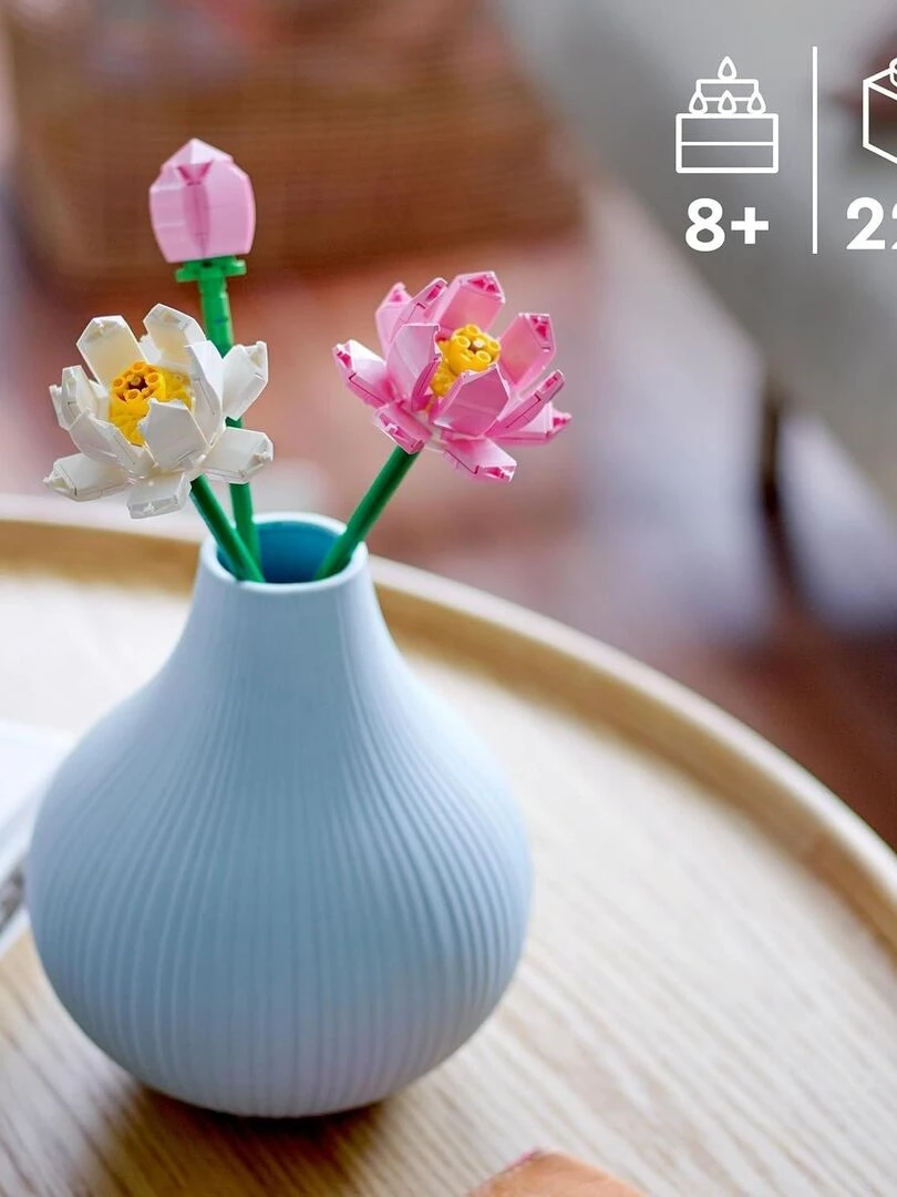 Les fleurs de lotus   N/A