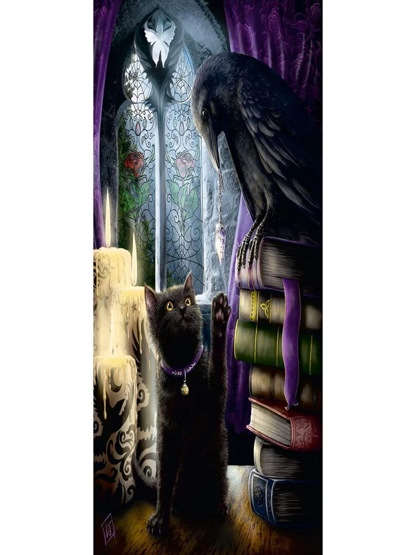 Puzzle Chat noir et corbeau N/A