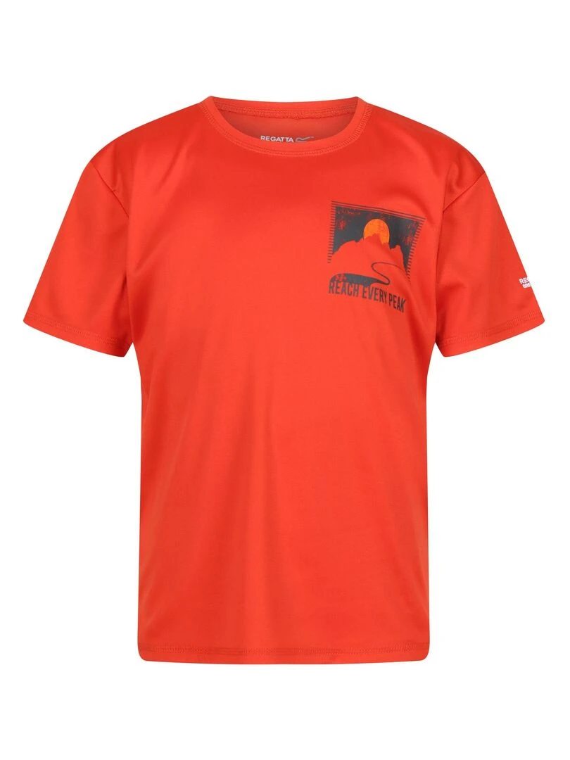 Regatta T shirt ALVARADO Rouge brique