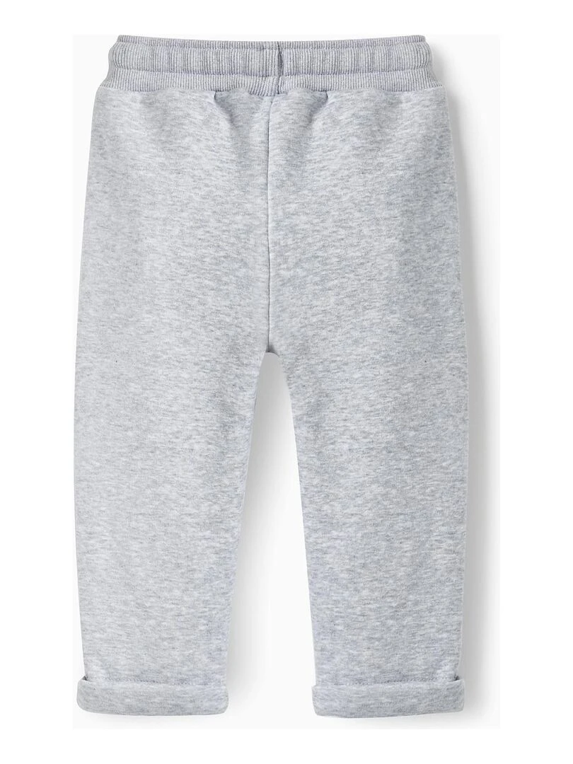 Pantalon de sport molletonné pour bébé garçon 'Skate is Out'  Skater's’ Dictionary   Gris