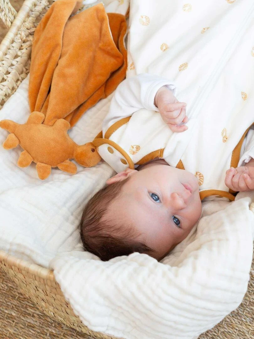 Doudou naissance Marron