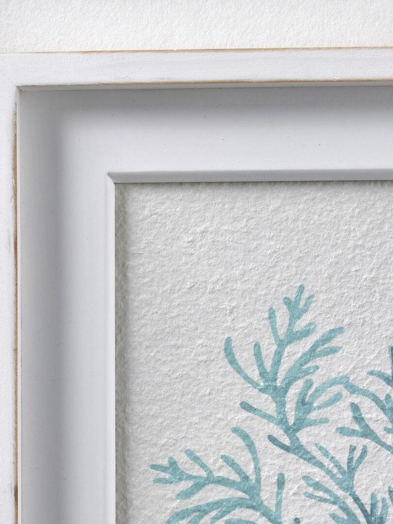 Cadre avec poster Corail BEACH HOUSE   Blanc