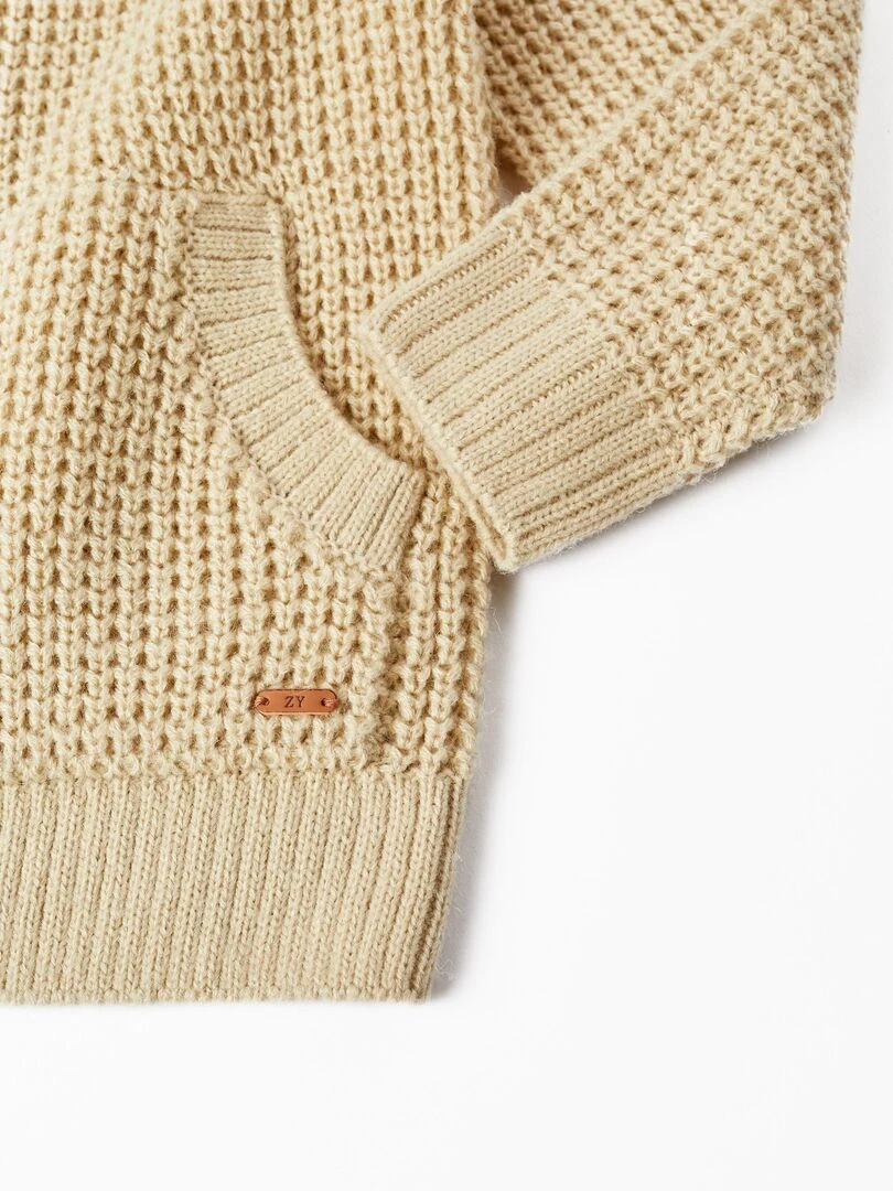 Veste en Tricot Épais avec Capuche pour Garçon   LITERATURE CLUB   Beige