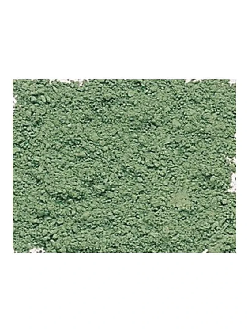 Pigment pour création de peinture pot 120 g Terre verte N/A