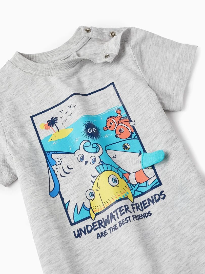 T Shirt En Coton Pour Bébé Garçon 'Amis&Mer' manches courtes AUSTRALIAN SURFING   Gris clair
