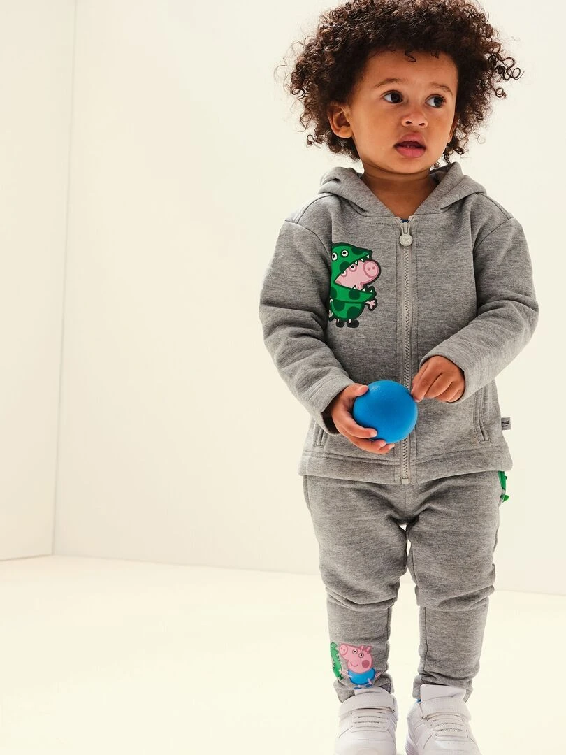 Regatta   Veste polaire   Gris