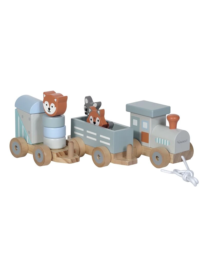 Petit train les animaux du zoo en bois rayures   Bleu Orange