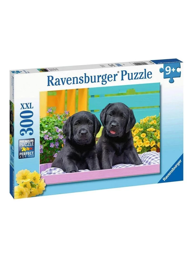 Puzzle 300 pièces XXL : Labradors N/A