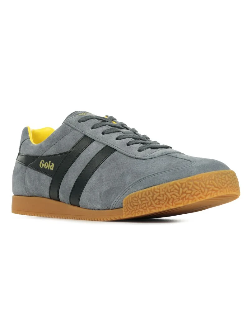 Baskets Gola Harrier Suede Gris Noir