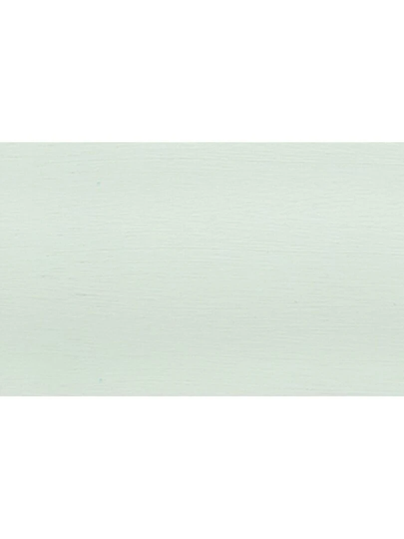 Peinture Craie Vert menthe Chalky Finish 100 ml N/A
