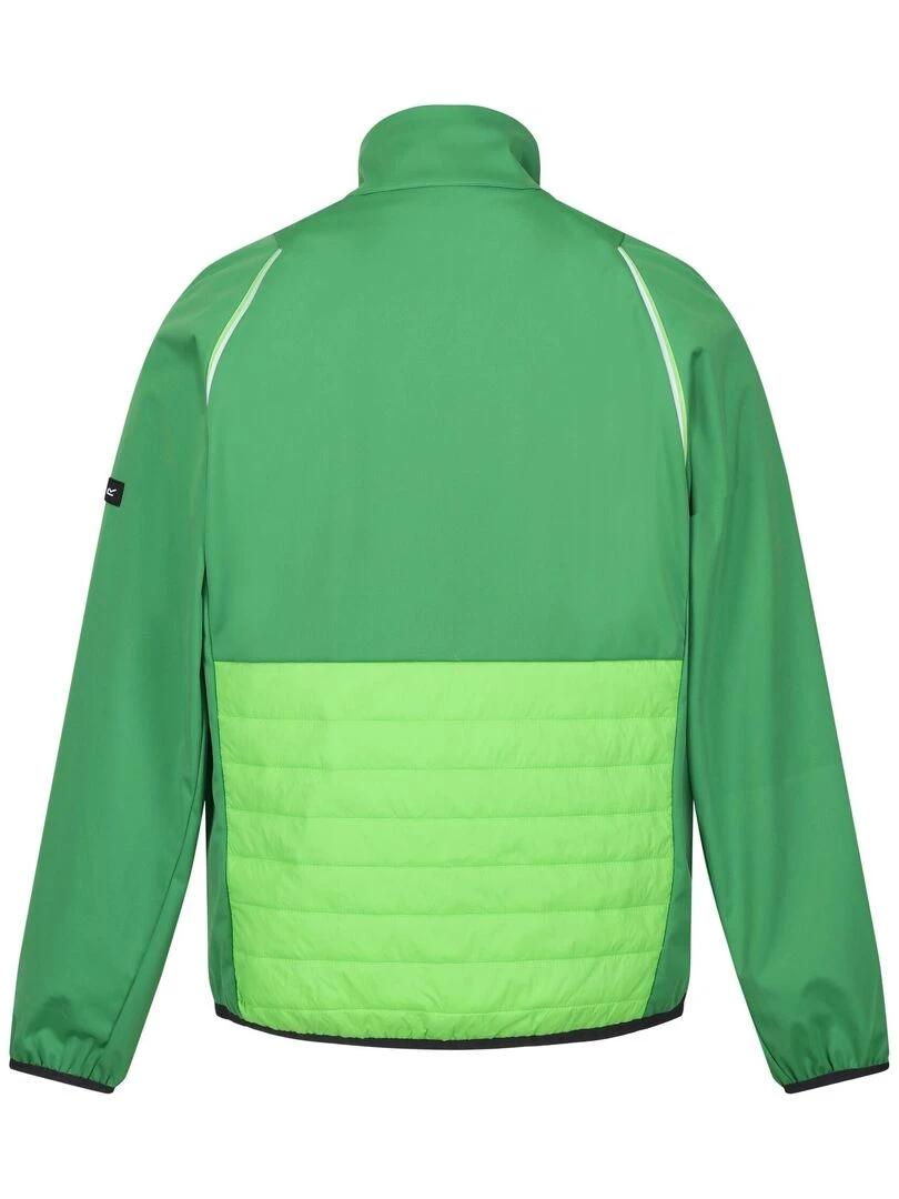 Regatta Veste softshell STEREN HYBRID Vert foncé