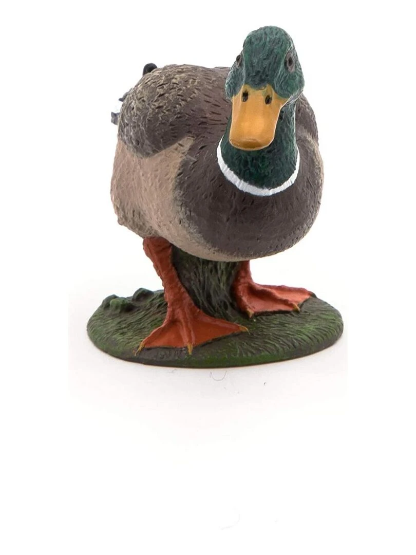Figurine canard colvert   N/A