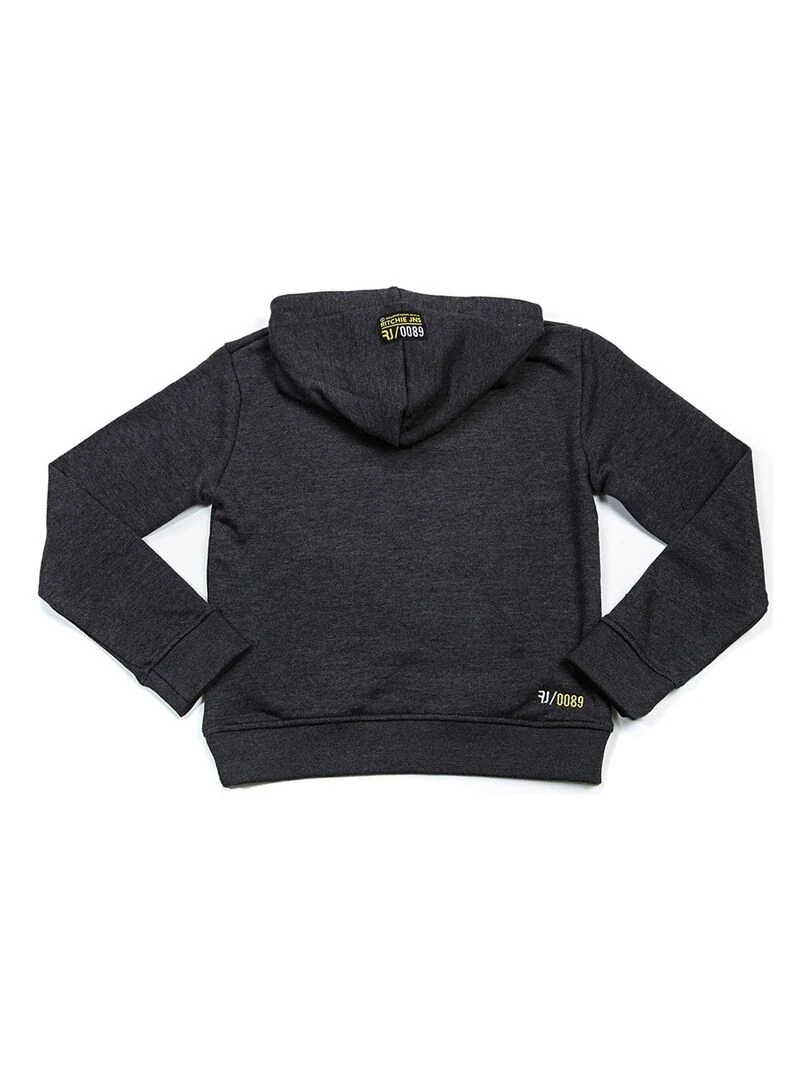 Sweat à capuche WALFROY BOY   Gris foncé
