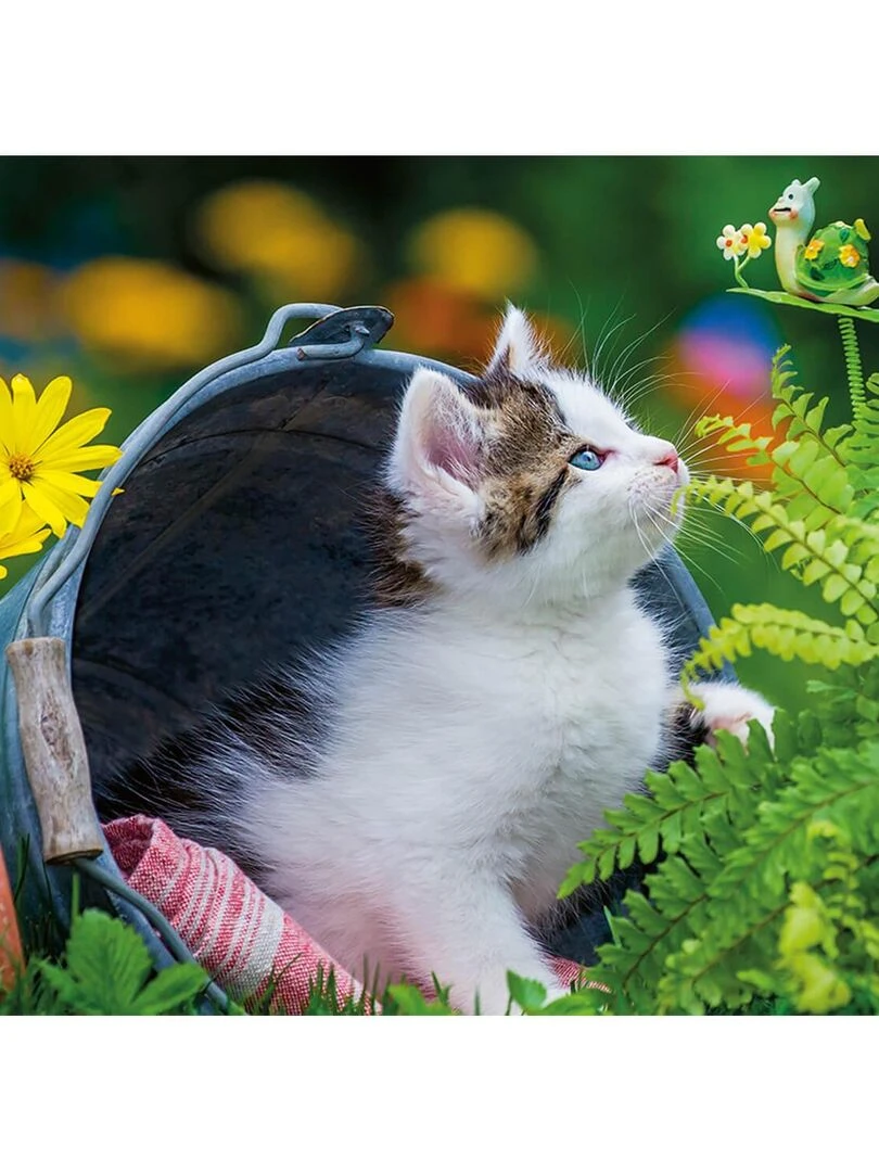 Puzzle 250 pièces : Petit chaton curieux N/A
