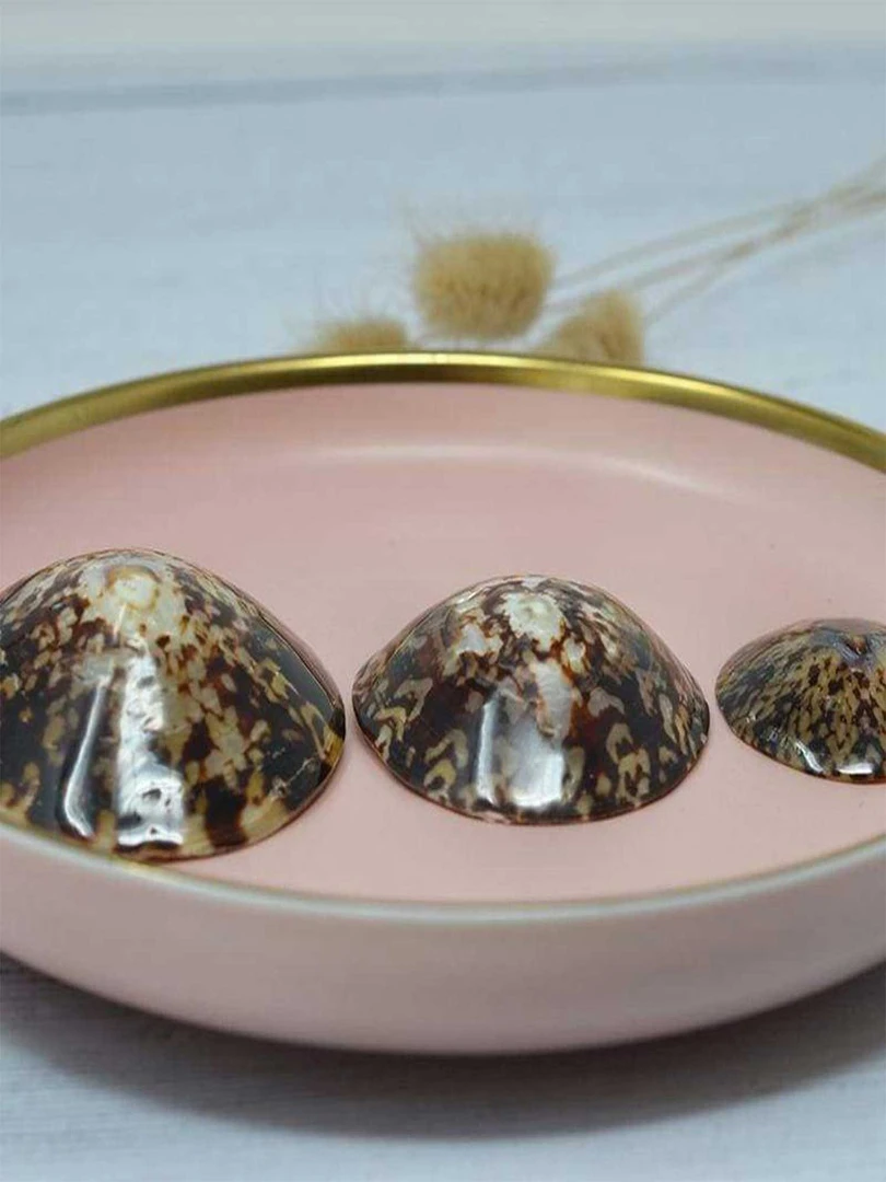 Lot De 2 Coquillages D'allaitement Mammaire   Marron