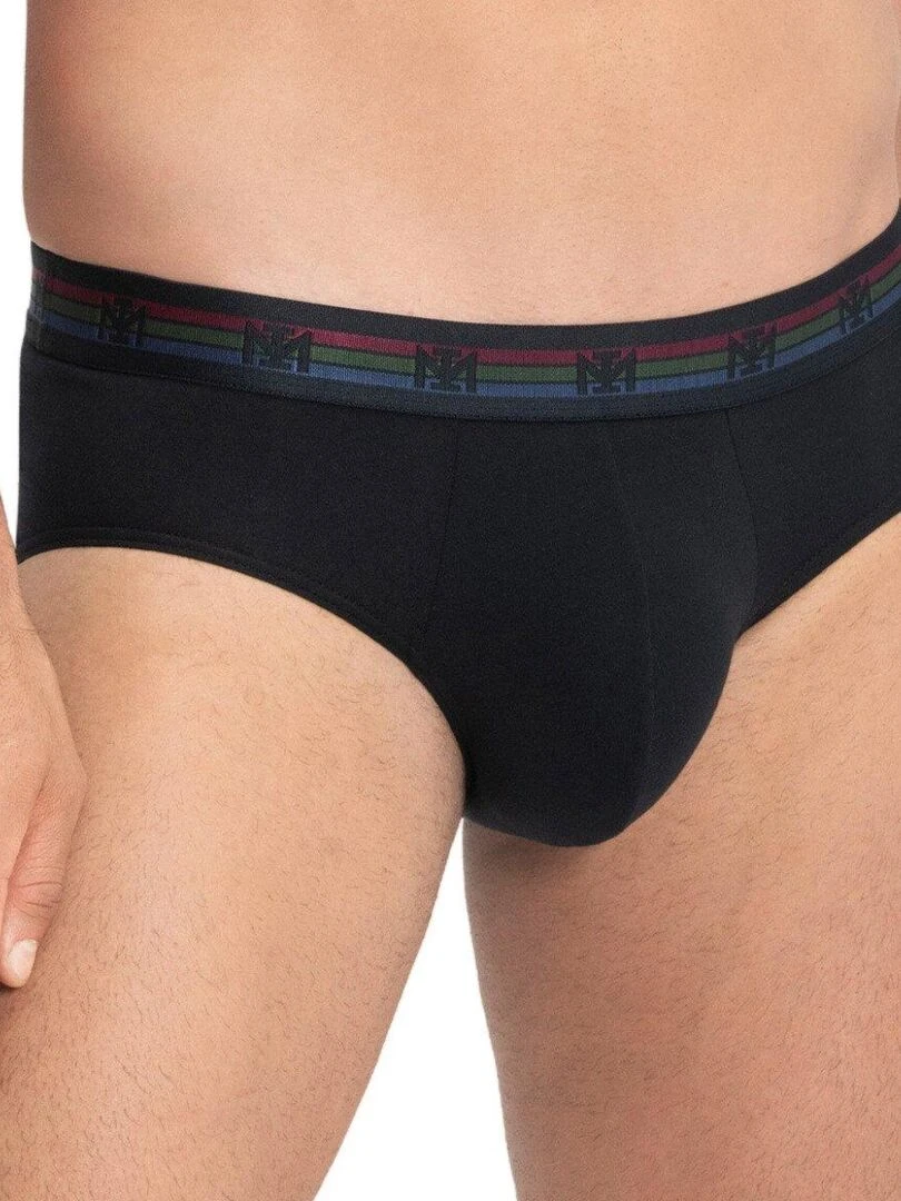 Lot de 2 slips en coton Haruto Gris