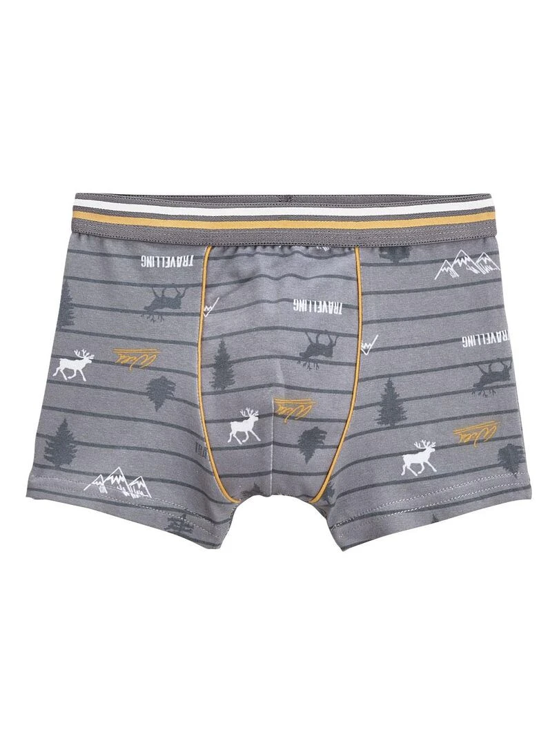 Lot de 2 boxers garçon Tikam Gris
