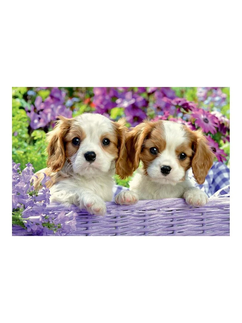 Puzzles 2x24 p   amis tout doux   N/A