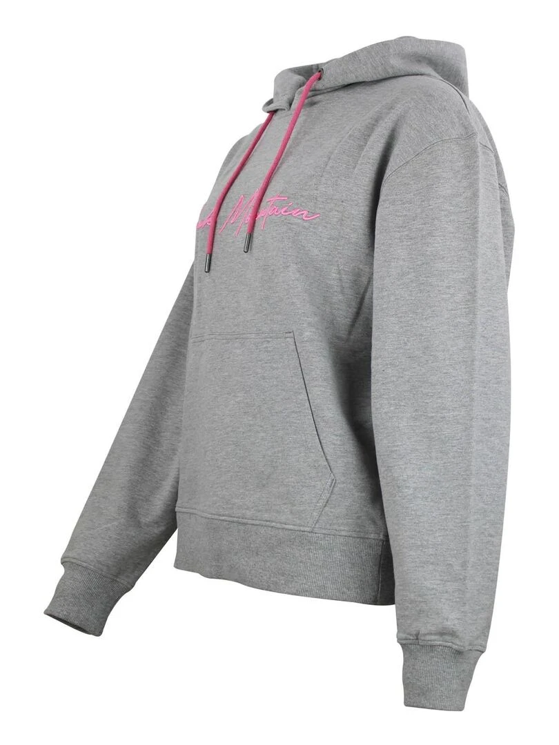 Sweat à capuche femme ALAUREN   Gris