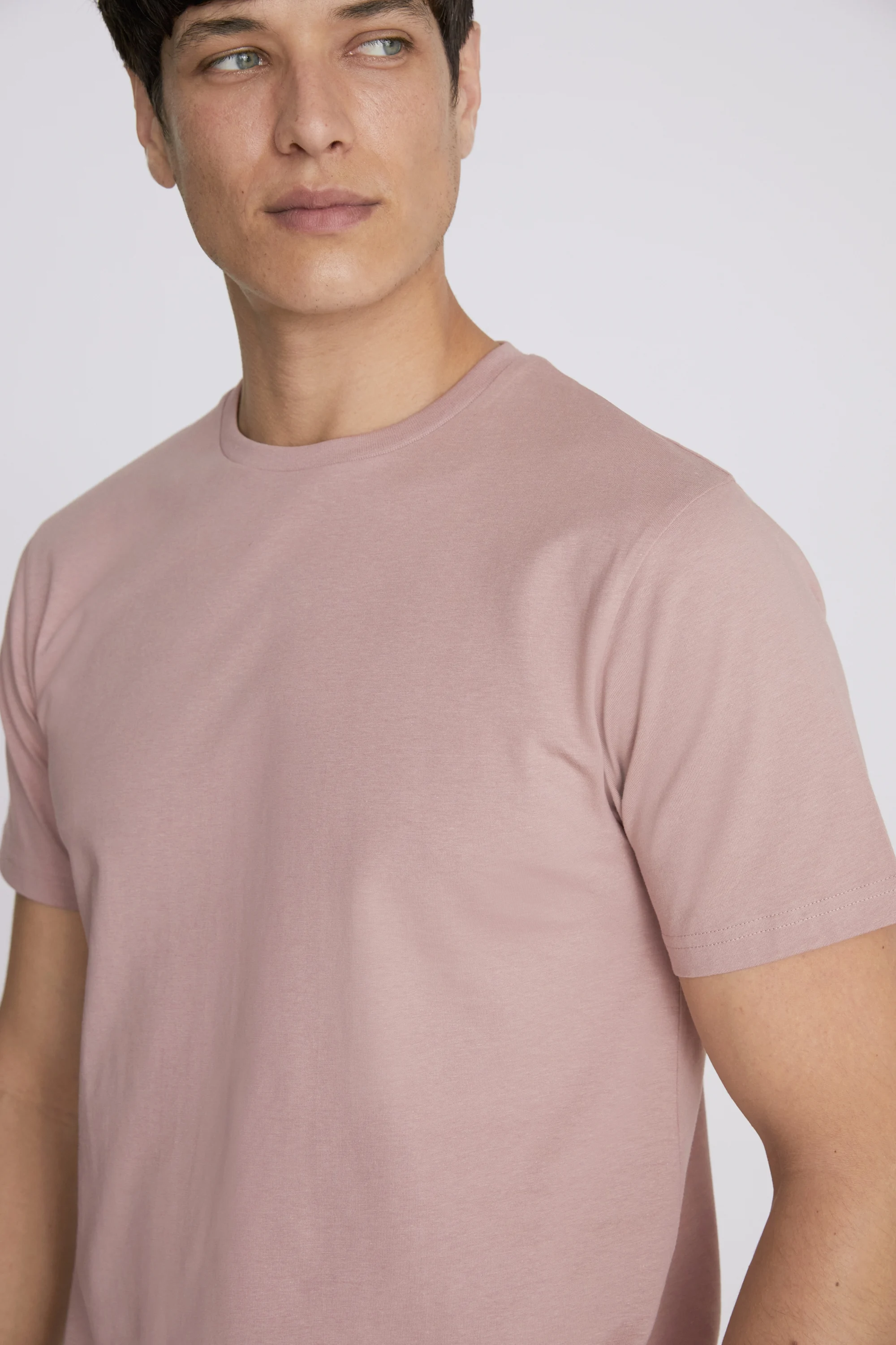 Sage Green Crew Neck T-Shirt   Buy Online at Moss