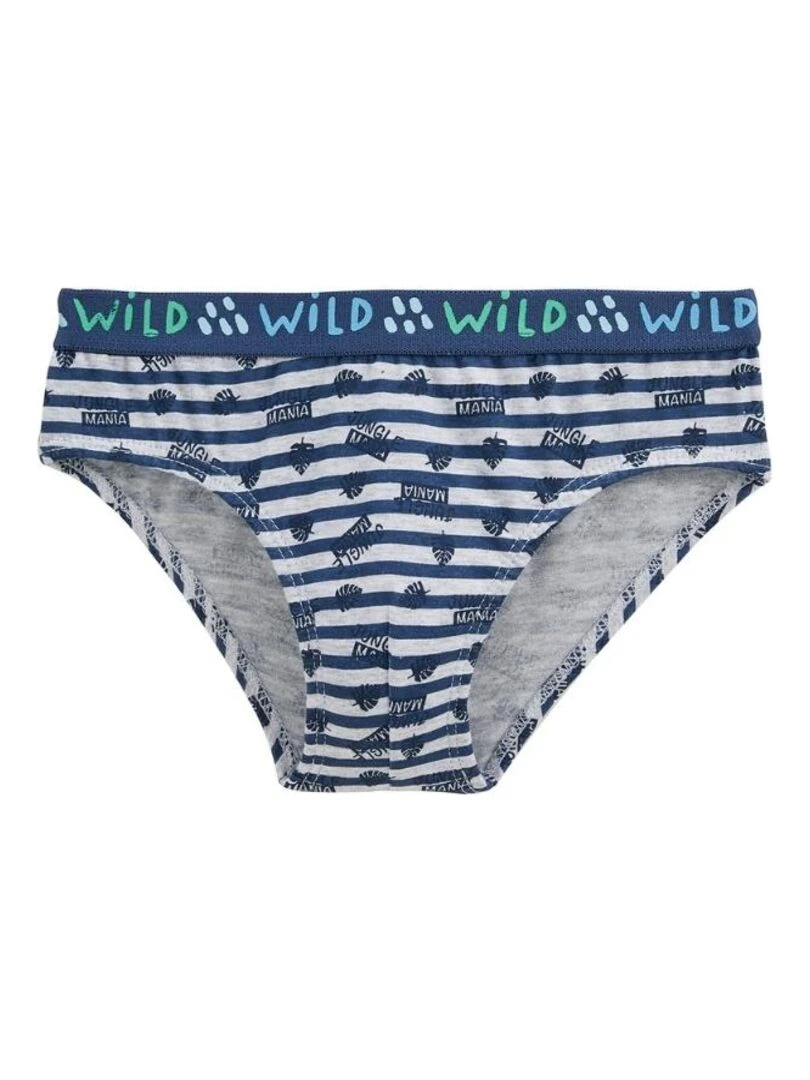 Lot de 3 slips garçon Tiago   Bleu