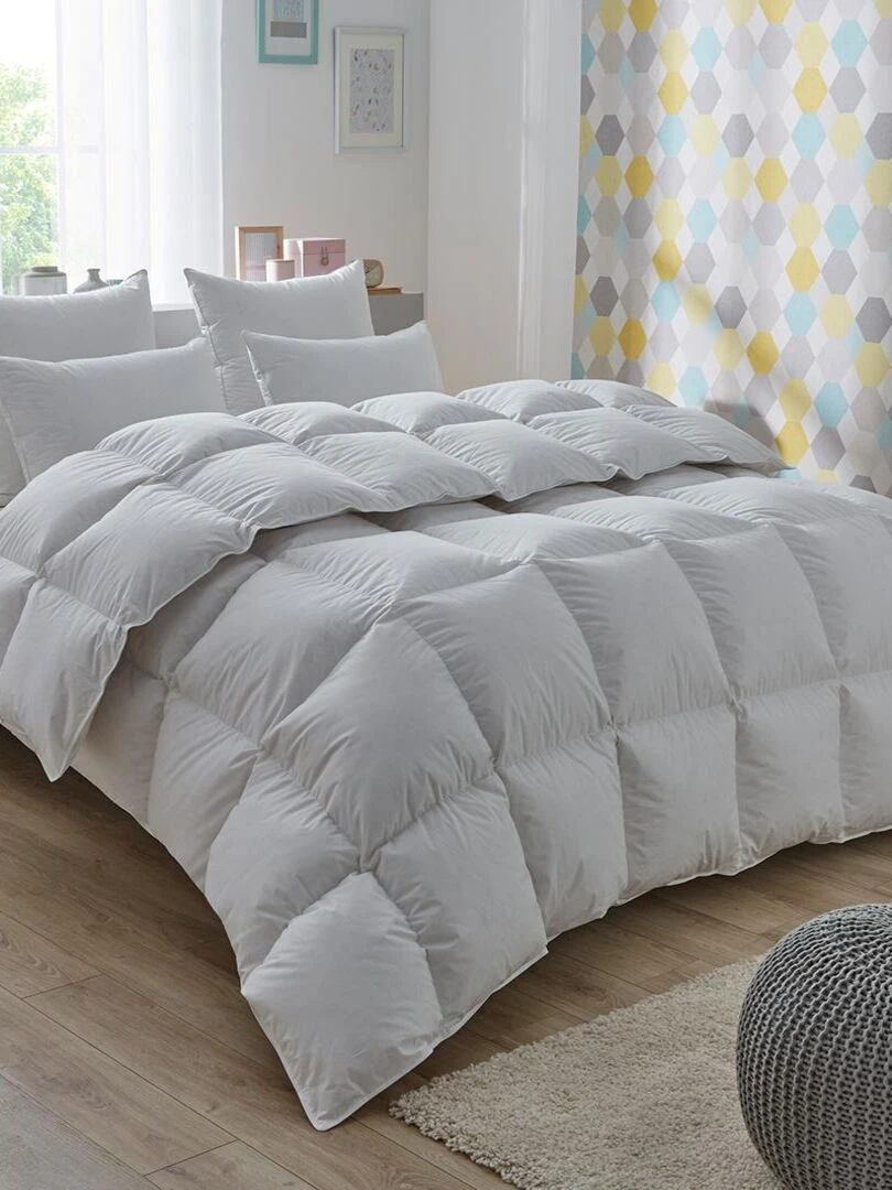 DODO Couette 50% duvet de canard Proneem TEMPÉRÉE Blanc