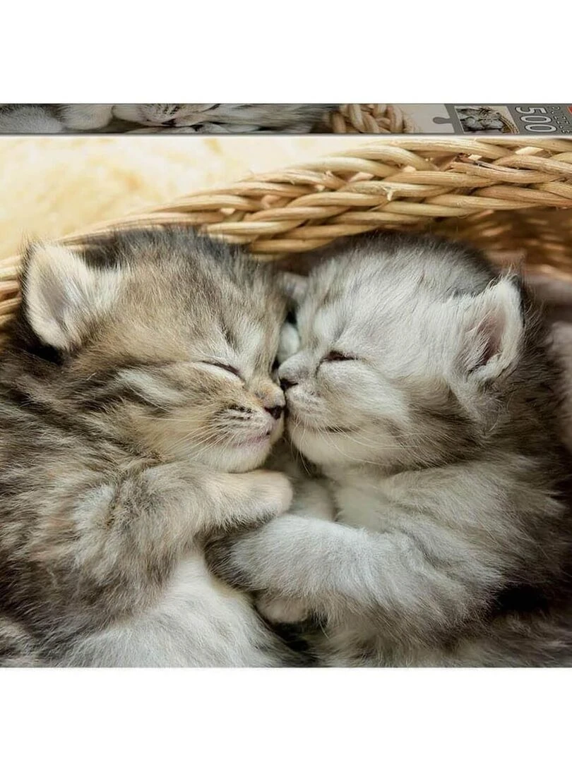 Puzzle 500 pièces : Doux Chatons N/A