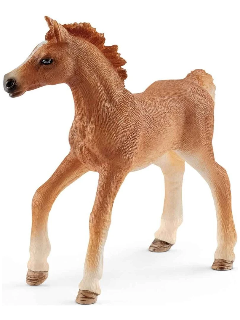 Figurine poulain avec couverture   N/A