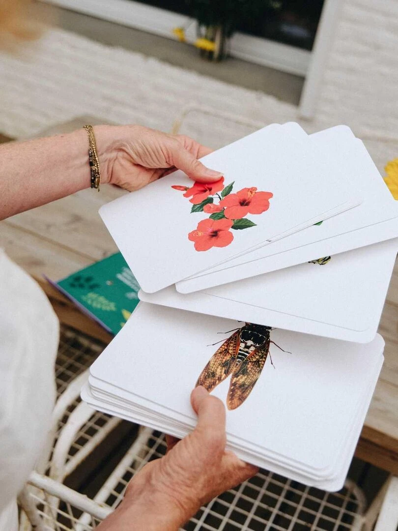 Mondy des P'tits Curieux La Nature   N/A