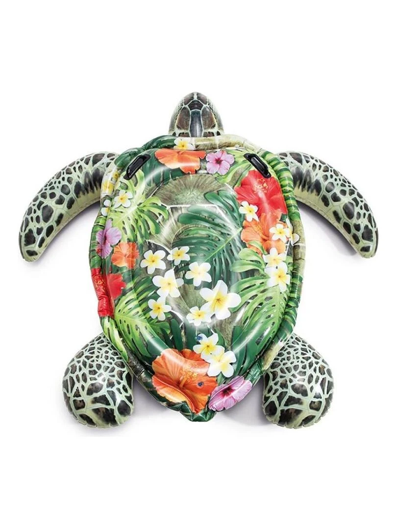 Tortue à chevaucher   Vert