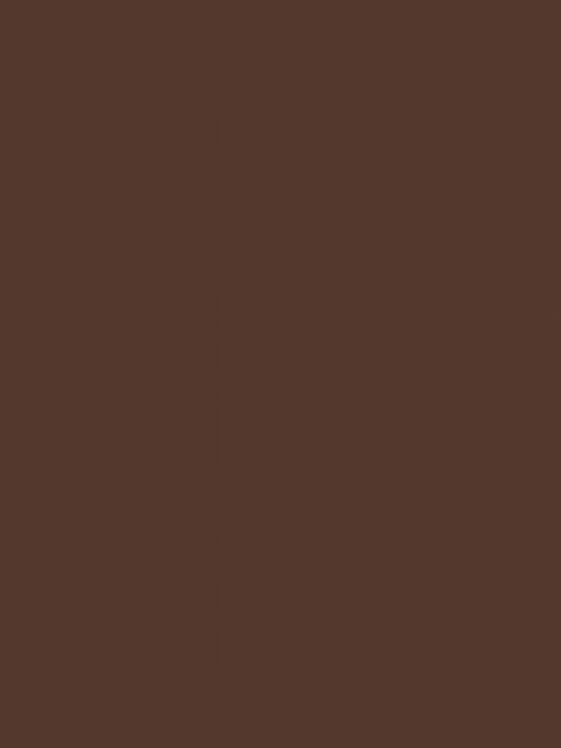 Peinture acrylique opaque mate Ombre brûlée 45 ml N/A