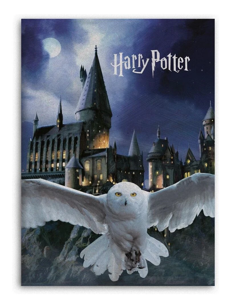 Plaid polaire Harry Potter 100x140 cm Multicolore