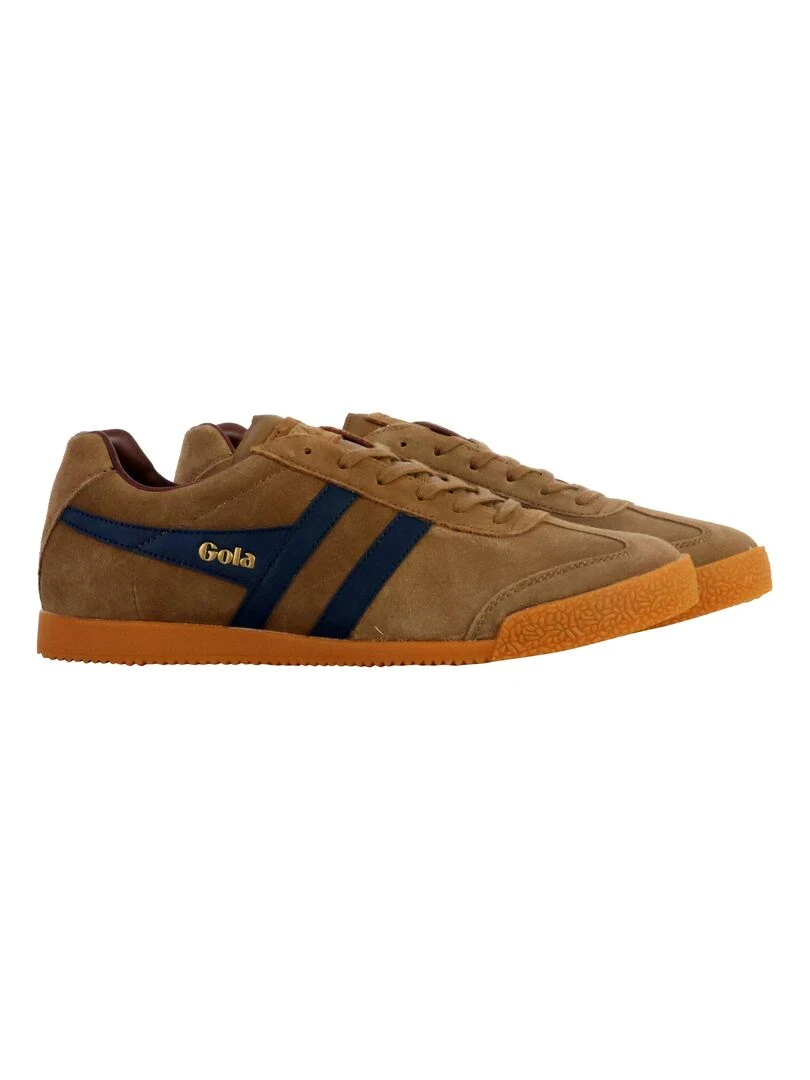 Basket Gola Harrier Suede   Marron