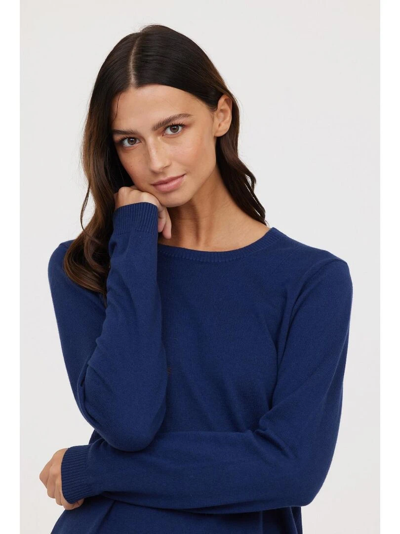 Lee Cooper   Pull coton regular CACIRI   Bleu marine