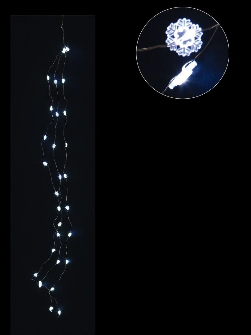 Branche lumineuse 30 Led flocons Blanc