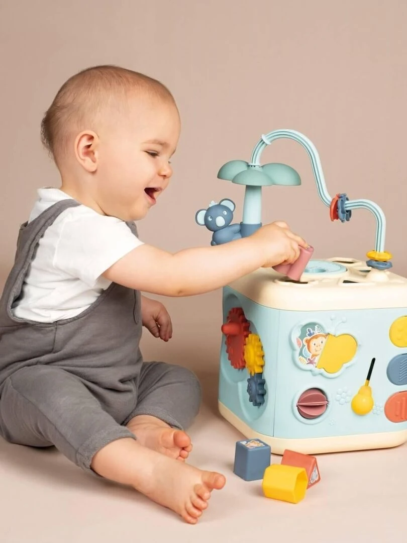 Cube d'activités : Little Smoby Explor Cube   N/A