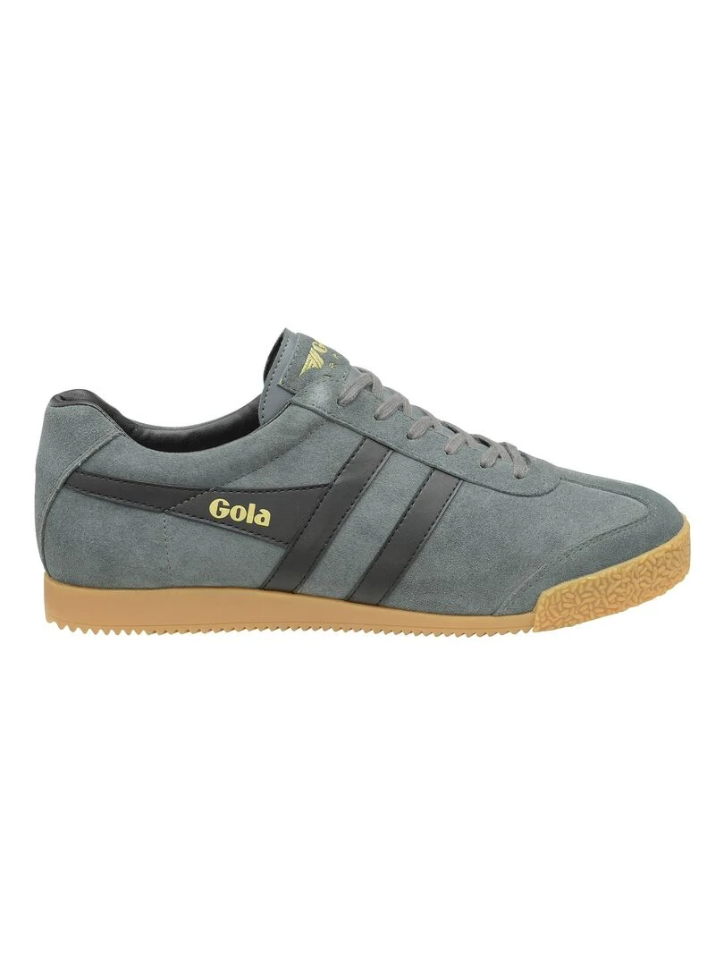 Basket Gola Harrier Suede Gris