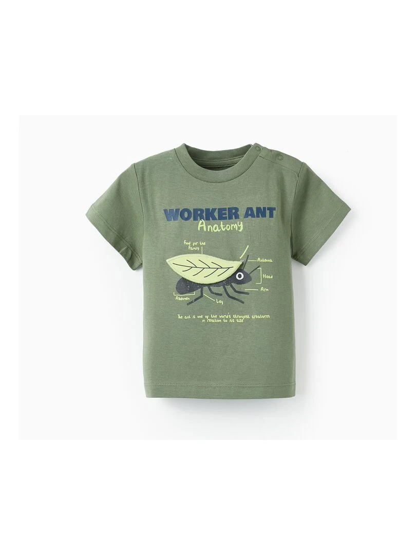 T shirt à manches courtes avec feuille en relief pour bébé garçon manches courtes NATURE TAKEOVER Vert