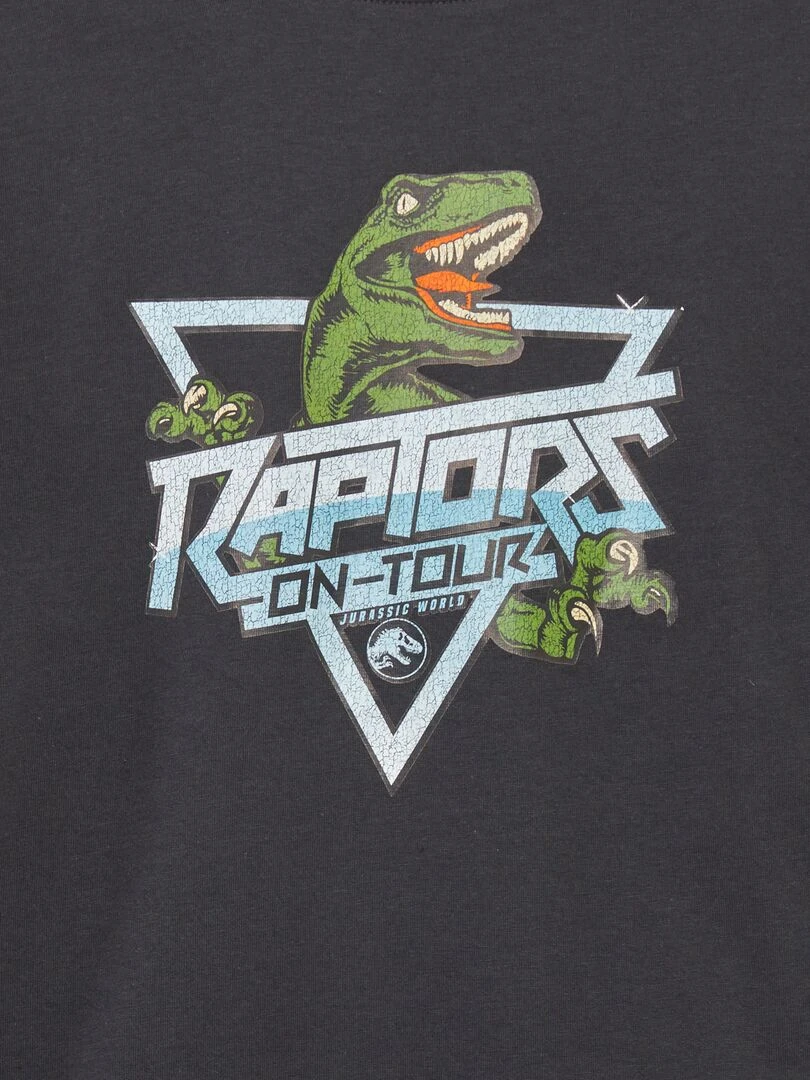 T shirt 'Jurassic Park' Gris