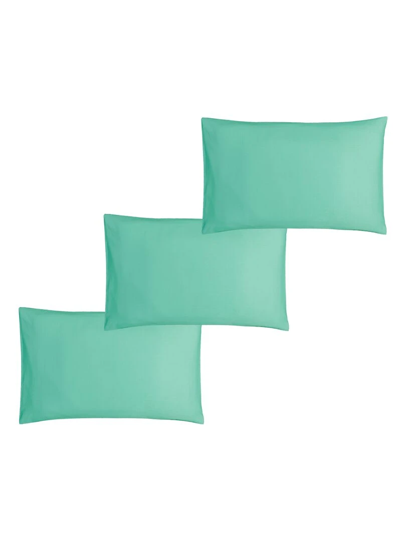 Lot x3 Taies d'oreiller 40x60 cm 100% coton Bio 'Ptit Basile' Bleu turquoise