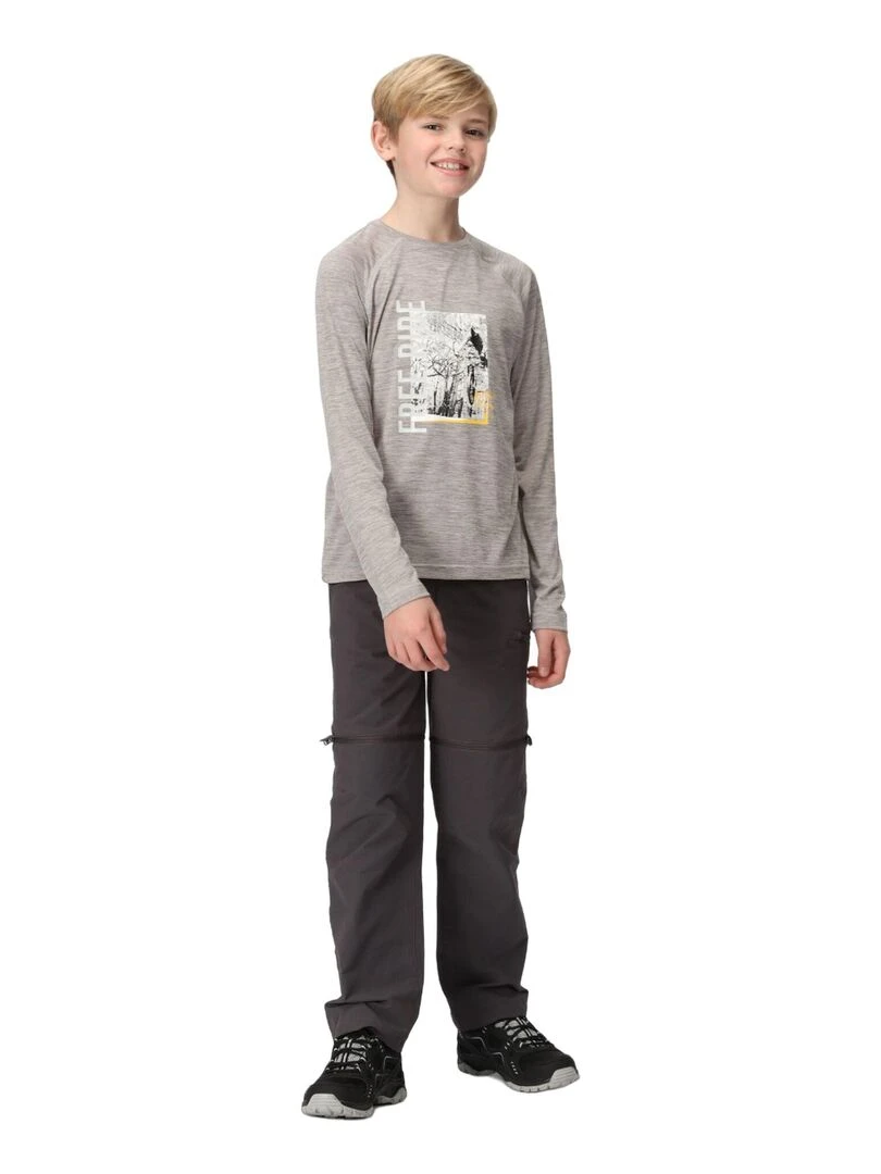 Regatta   T shirt BURNLEE   Gris Argenté