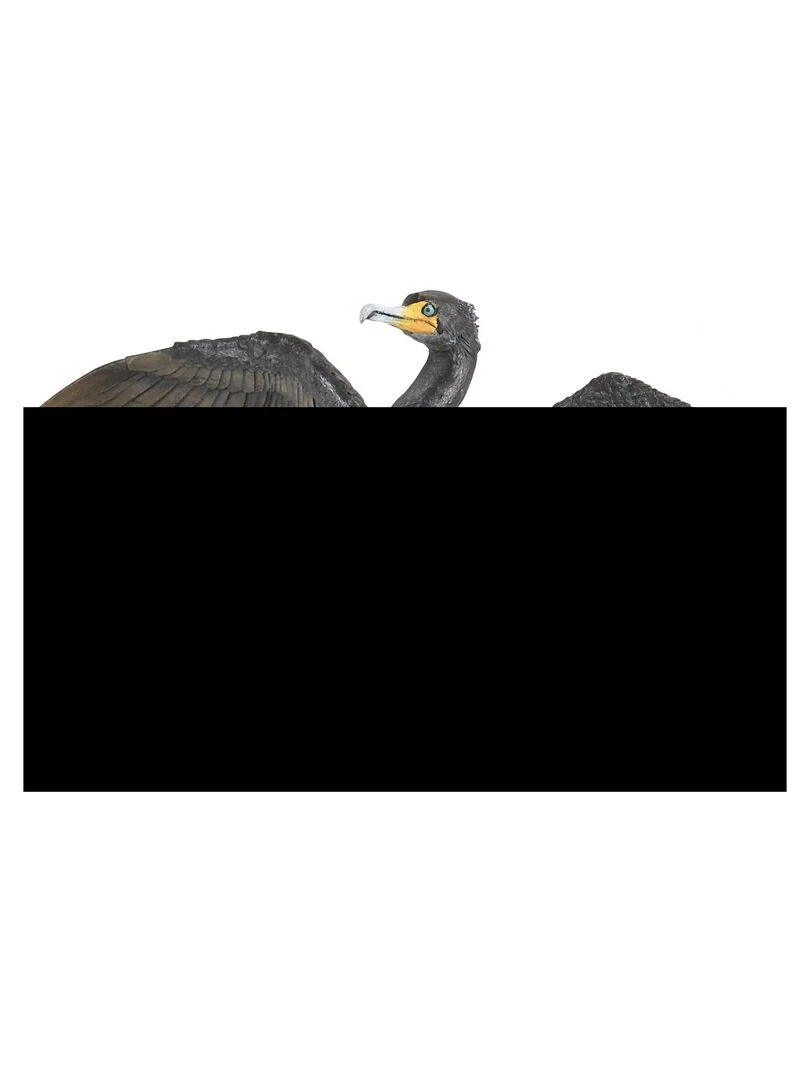 Figurine Oiseau : Cormoran N/A