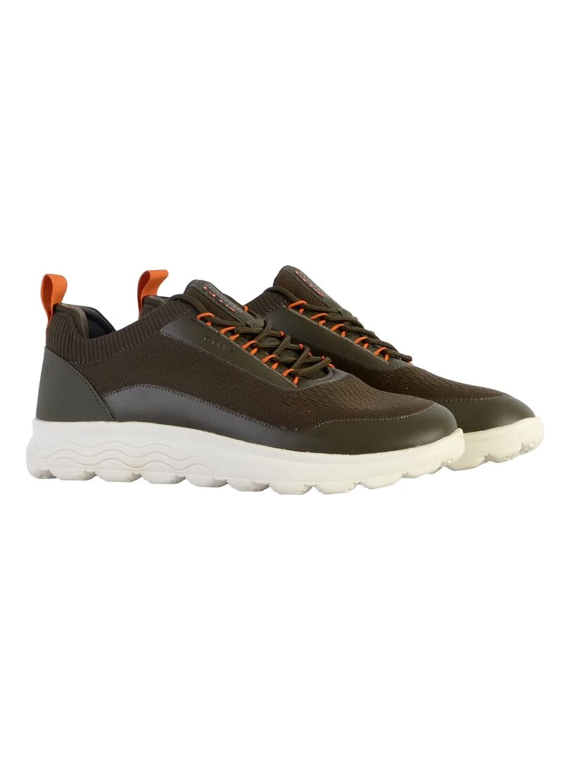 Basket à Lacets Geox U Spherica A Knitted   Vert
