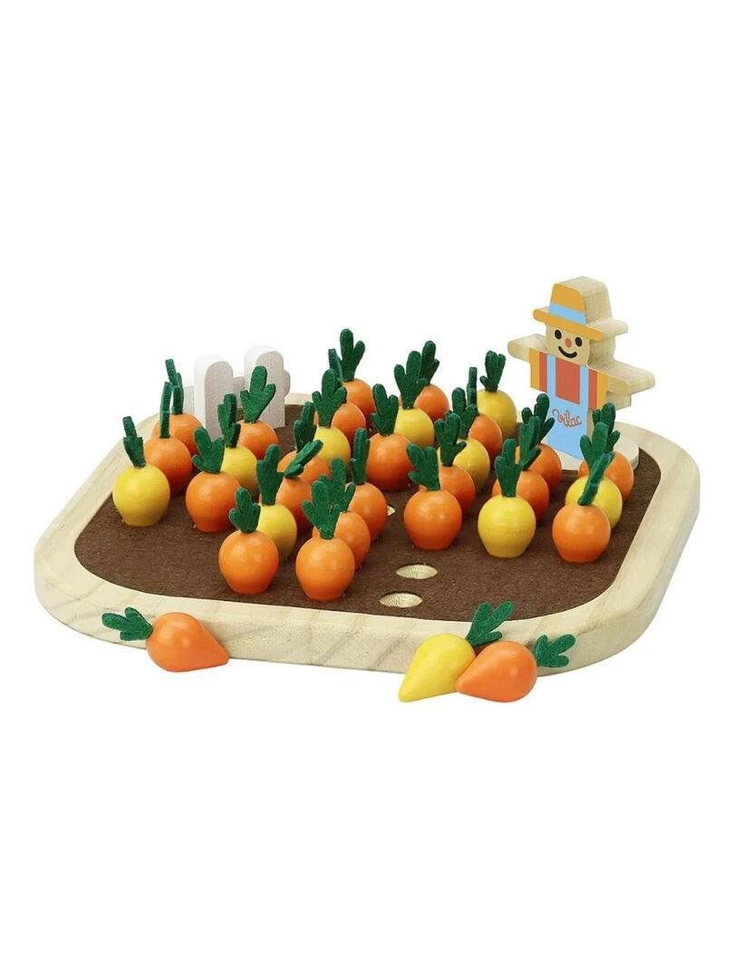 Le solitaire du potager N/A