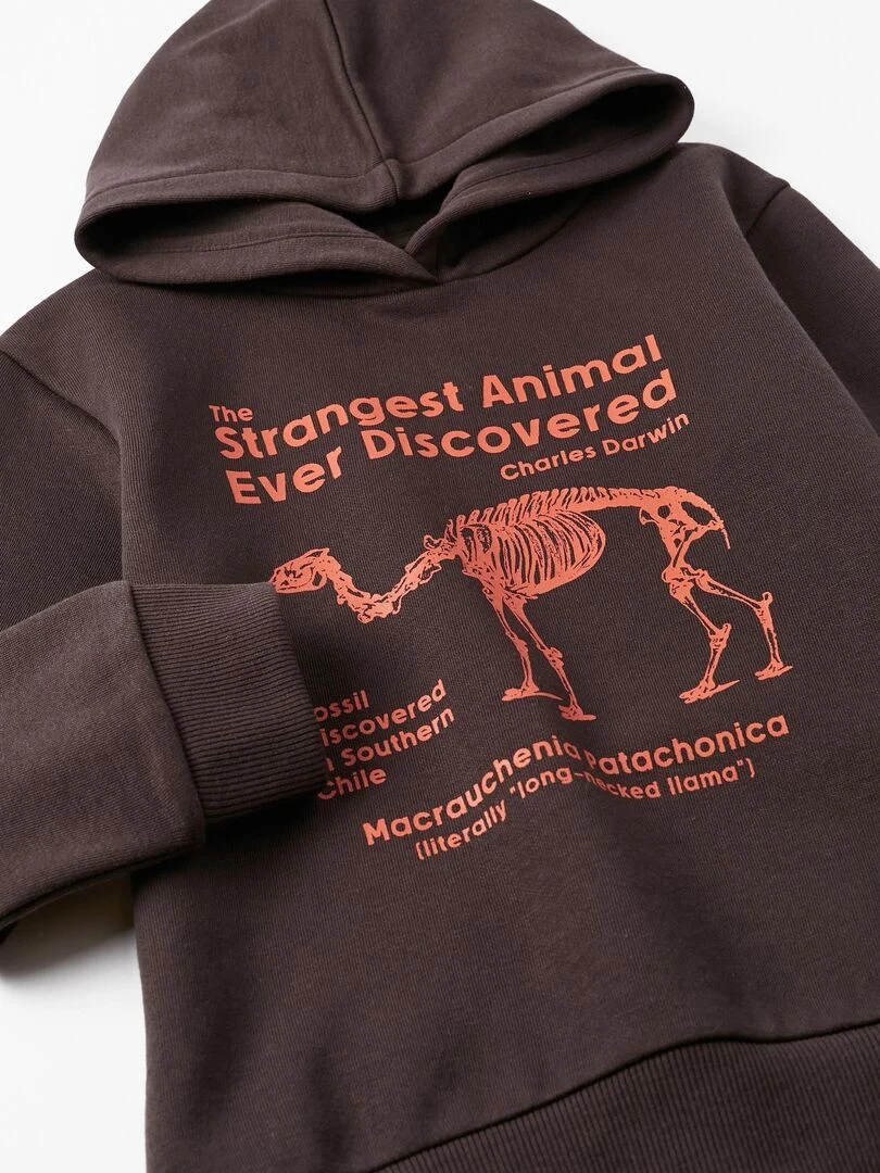 Sweat à capuche pour garçon 'Animaux les plus étranges'   DIFFERENT TOGETHER   Gris foncé