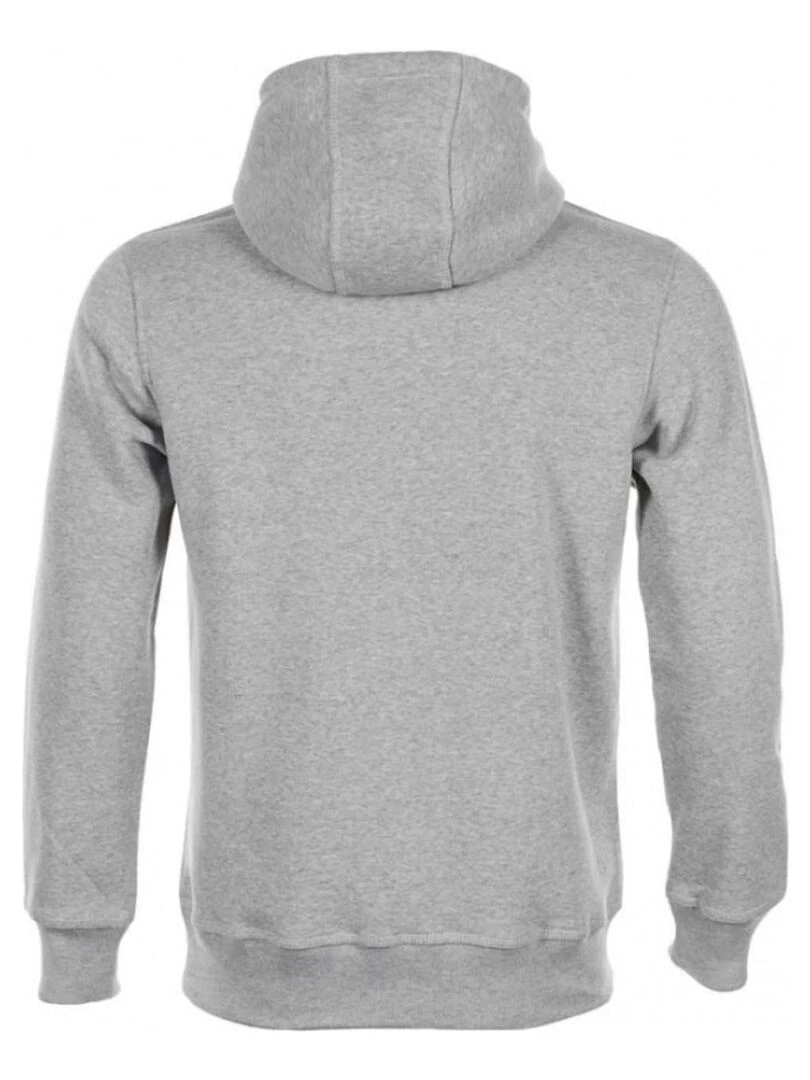 Sweat à capuche homme CODRIVER PEAK MOUNTAIN Gris