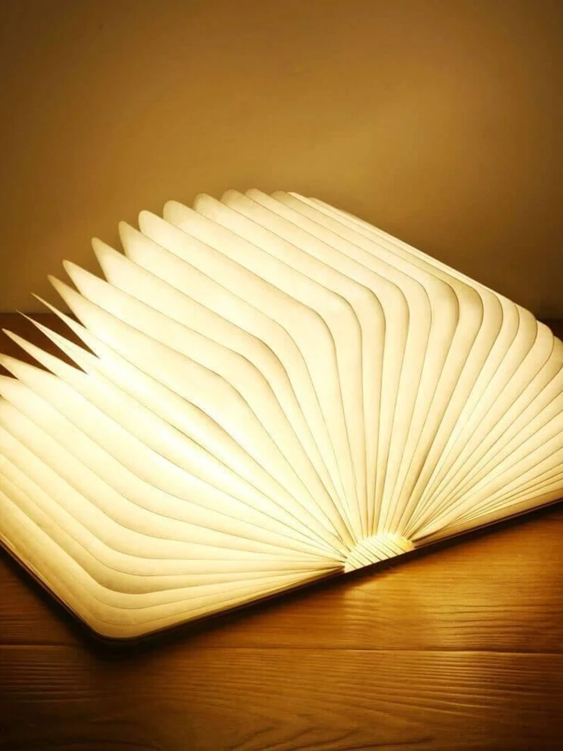 LIVRE   Lampe à poser led couverture en bois   Marron noisette